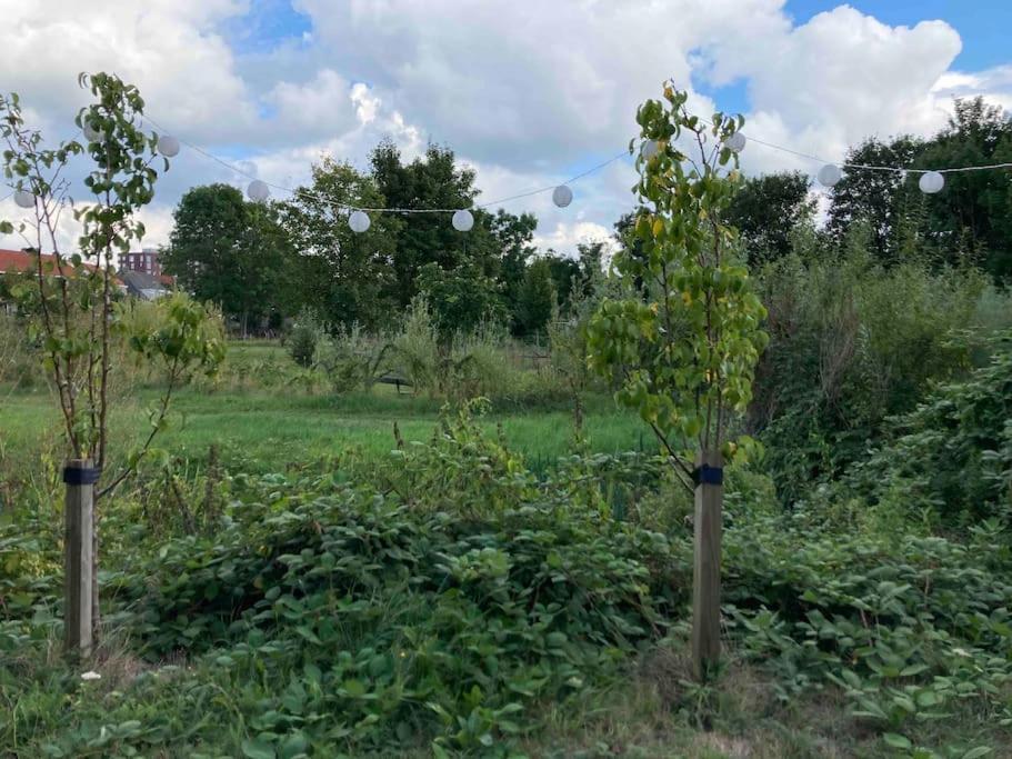 De Tuinkamer * Kampen
